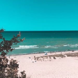 Meet your Posher, Alli